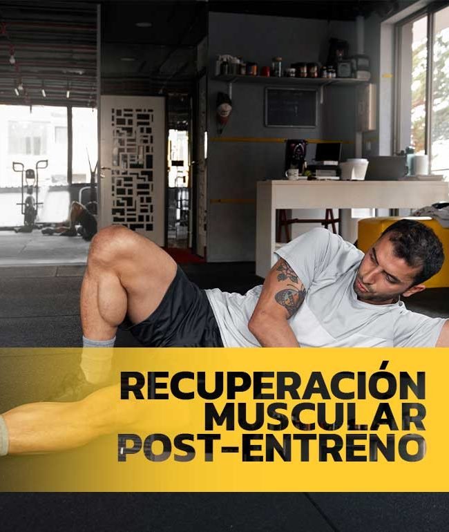 recuperacion muscular