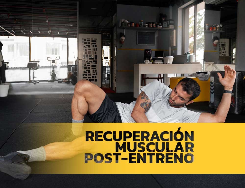 recuperacion muscular
