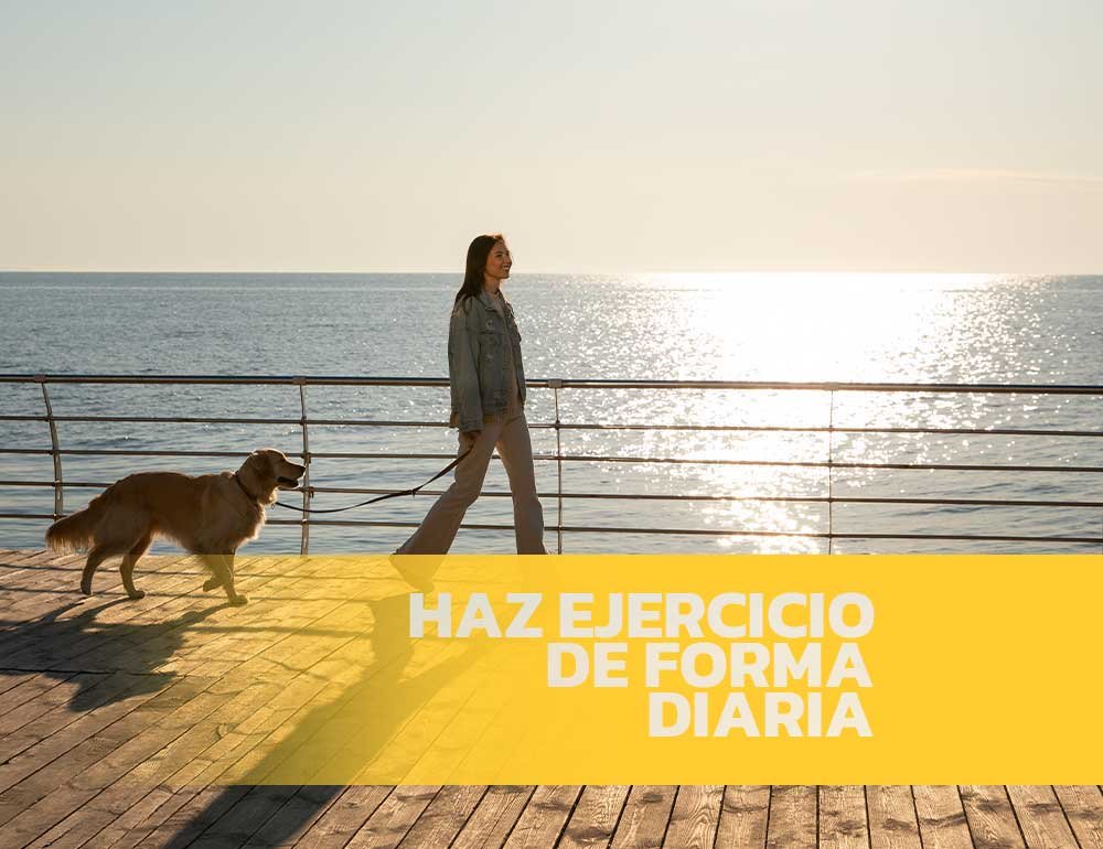 actividad fisica en tu rutina diaria